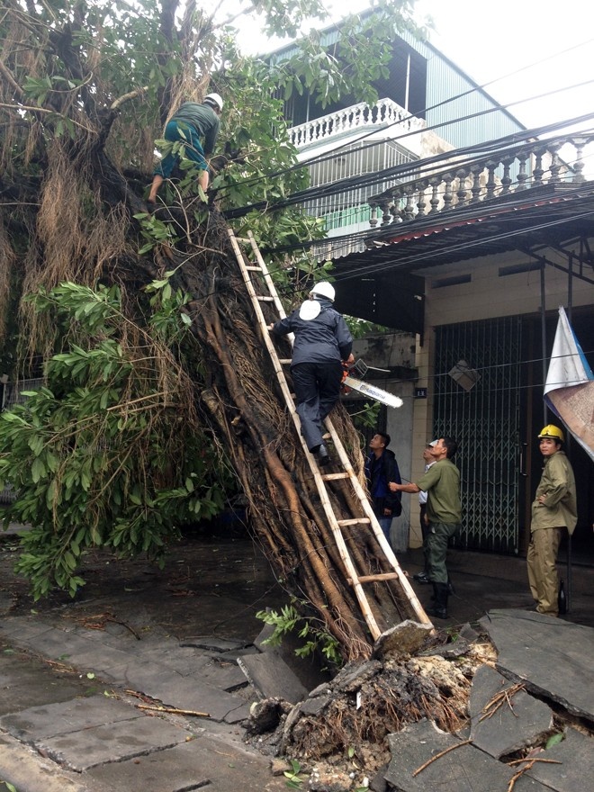 Lien Hiep Quoc danh gia cao Viet Nam qua bao Haiyan hinh anh