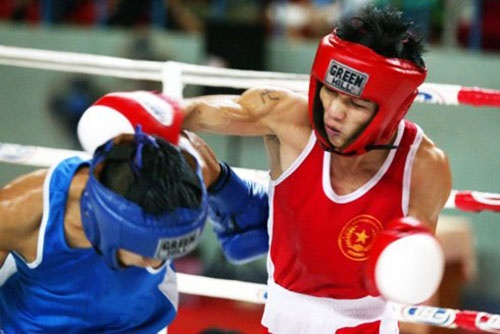Hap dan giai vo thuat co truyen va boxing 2014 hinh anh