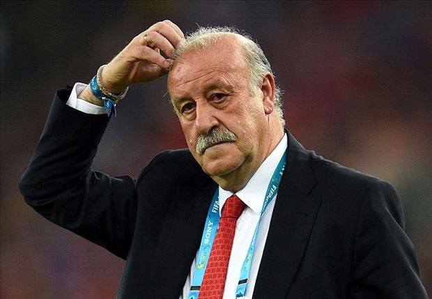 Del Bosque tiep tuc dan dat DT Tay Ban Nha hinh anh