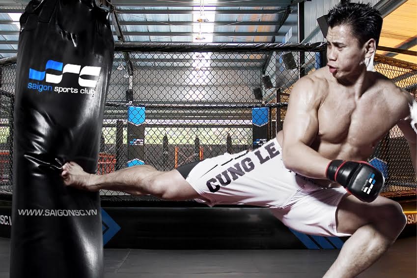 Trong lần về Việt Nam cách đây 2 năm, Cung Lê đã từng để ngỏ khả năng sẽ làm một bộ phim võ thuật đặc sắc tại quê hương trong tương lai.