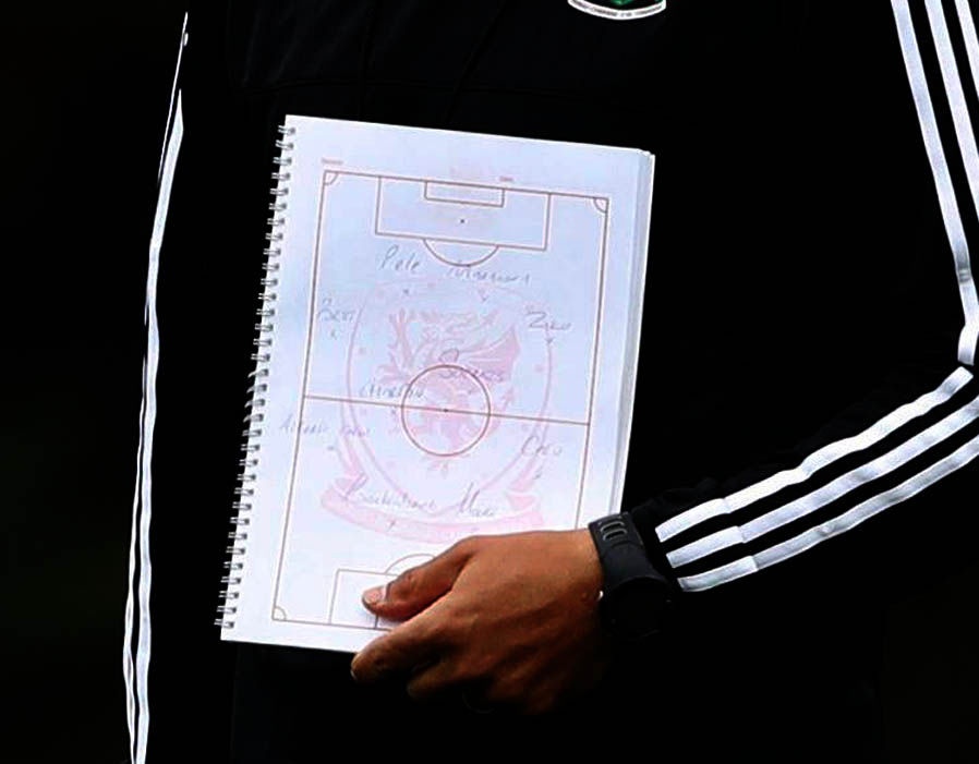 HLV xu Wales co tinh 'choi deu' doi tuyen Anh hinh anh