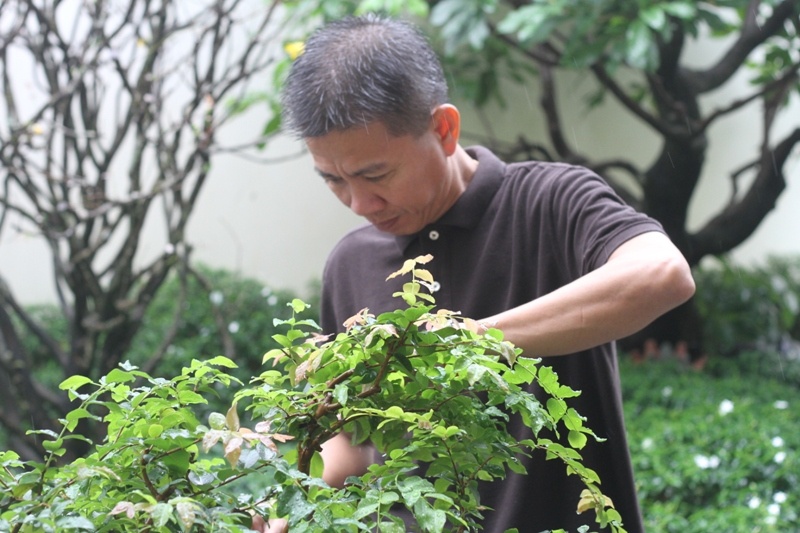 HLV Hoang Anh Tuan don Tet anh 1