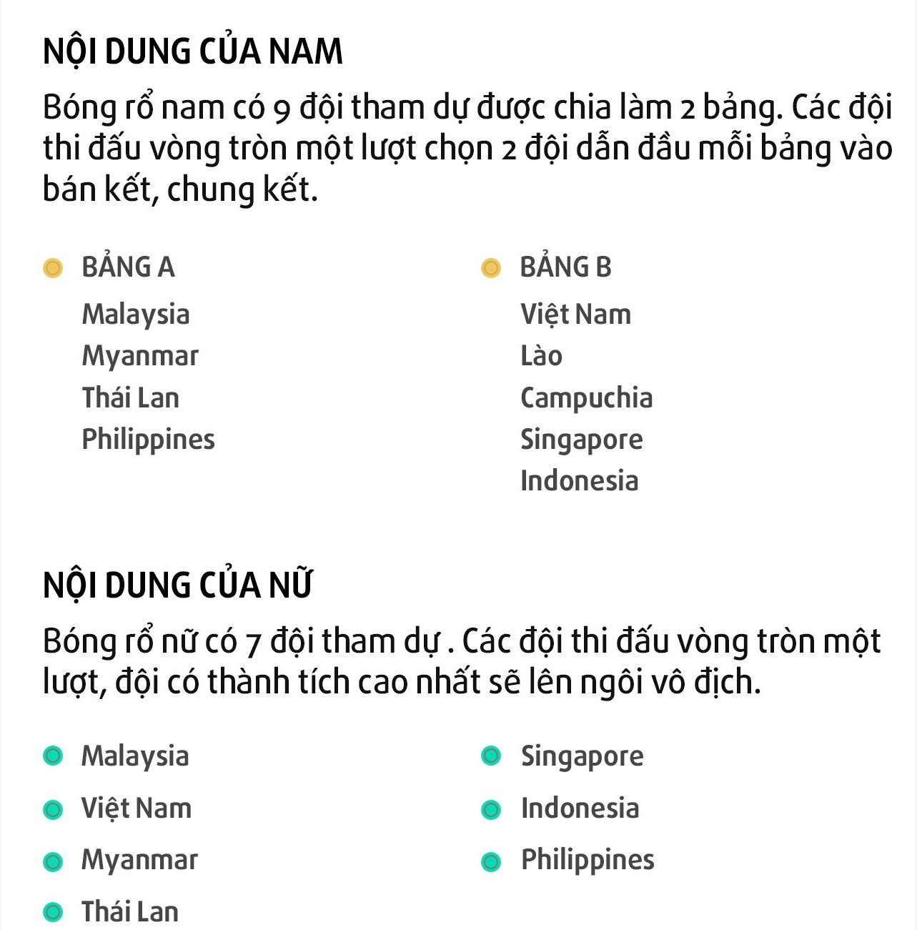 Bong ro Viet Nam tai SEA Games 29 anh 2