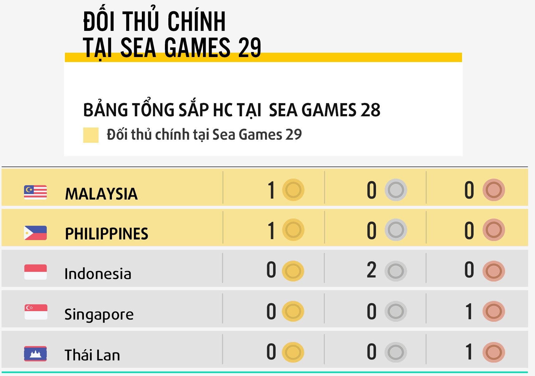 Bong ro Viet Nam tai SEA Games 29 anh 3