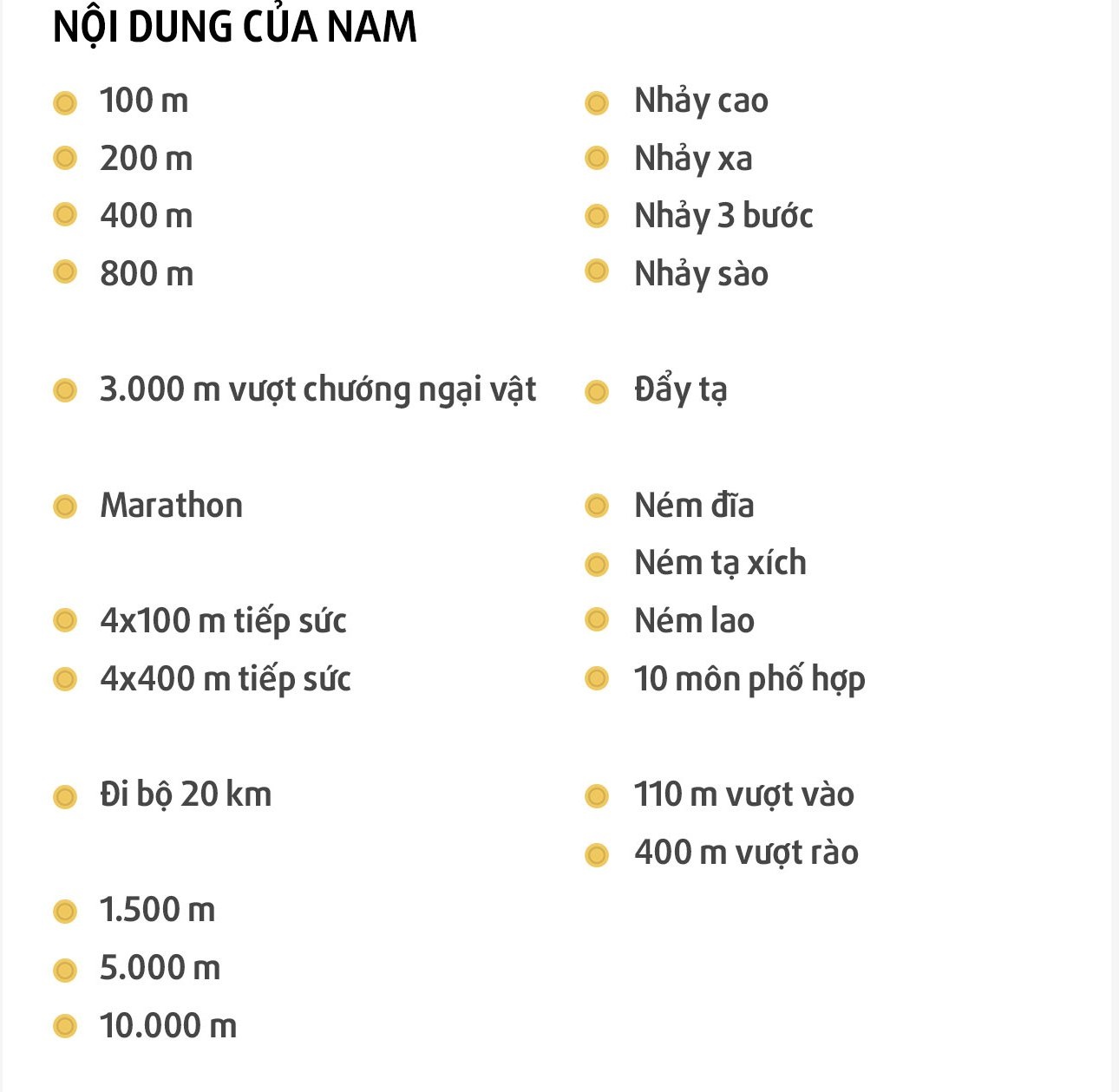 Dien kinh Viet Nam tai SEA Games anh 2