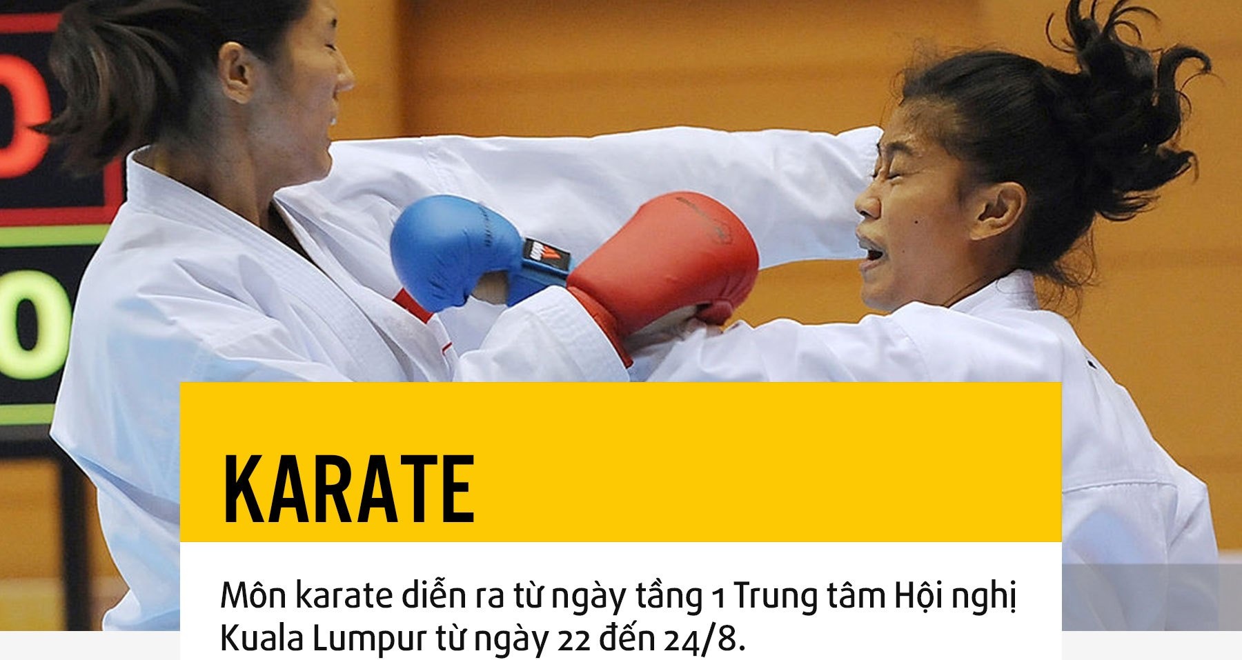 Tuyen karate Viet Nam tai SEA Games anh 1