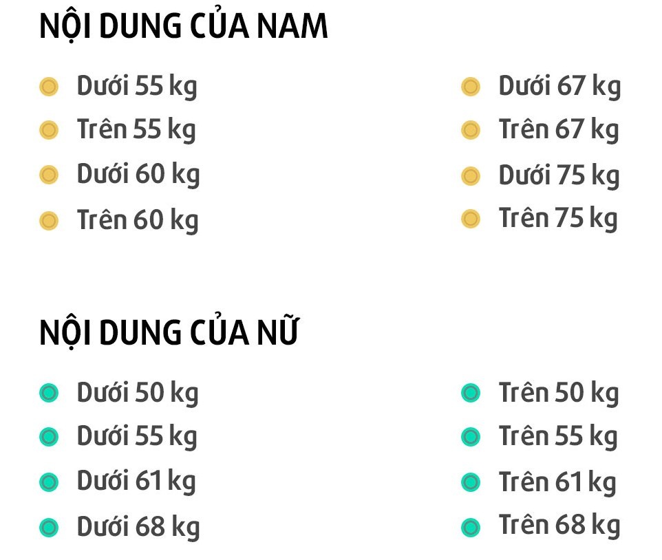 Tuyen karate Viet Nam tai SEA Games anh 2