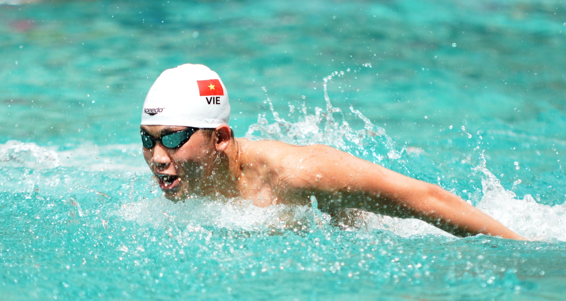 Ánh Viên thi đấu tại AIMAG 2017 ảnh 1 Anh Vien thi dau tai AIMAG 2017 anh 1