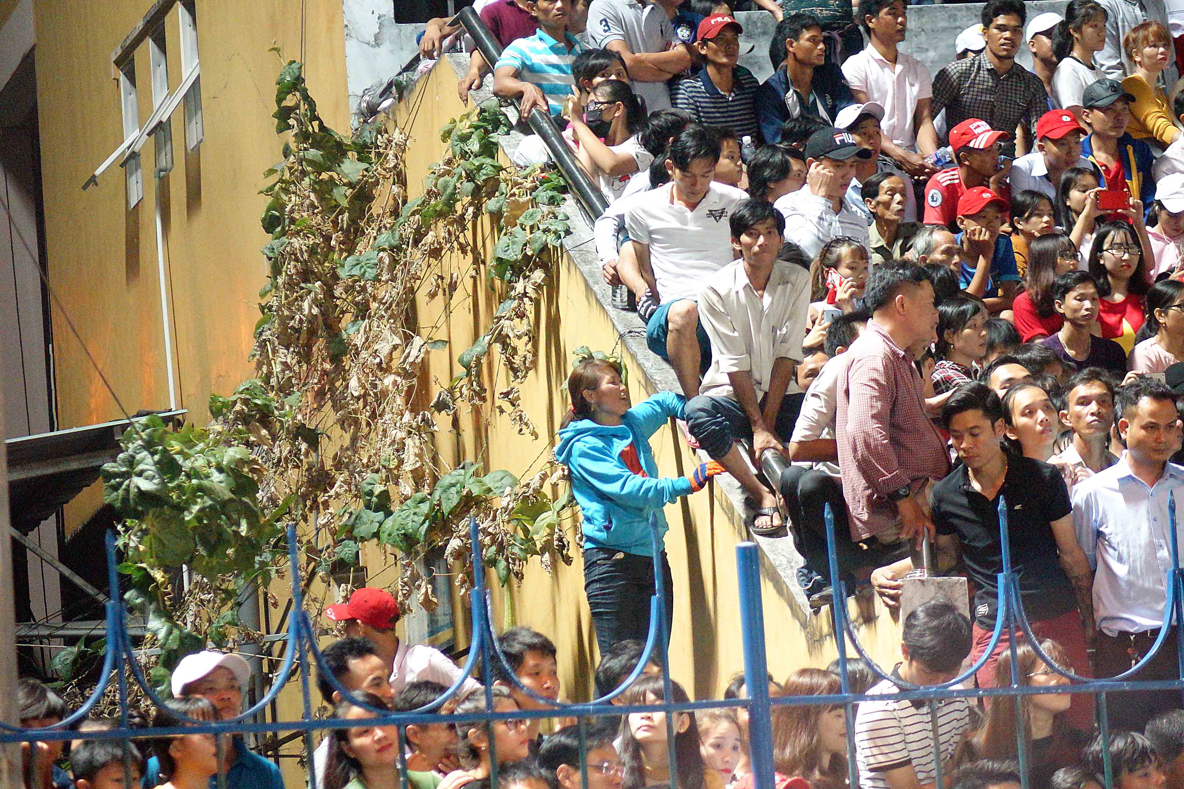 Fan ham mo CLB HAGL anh 4