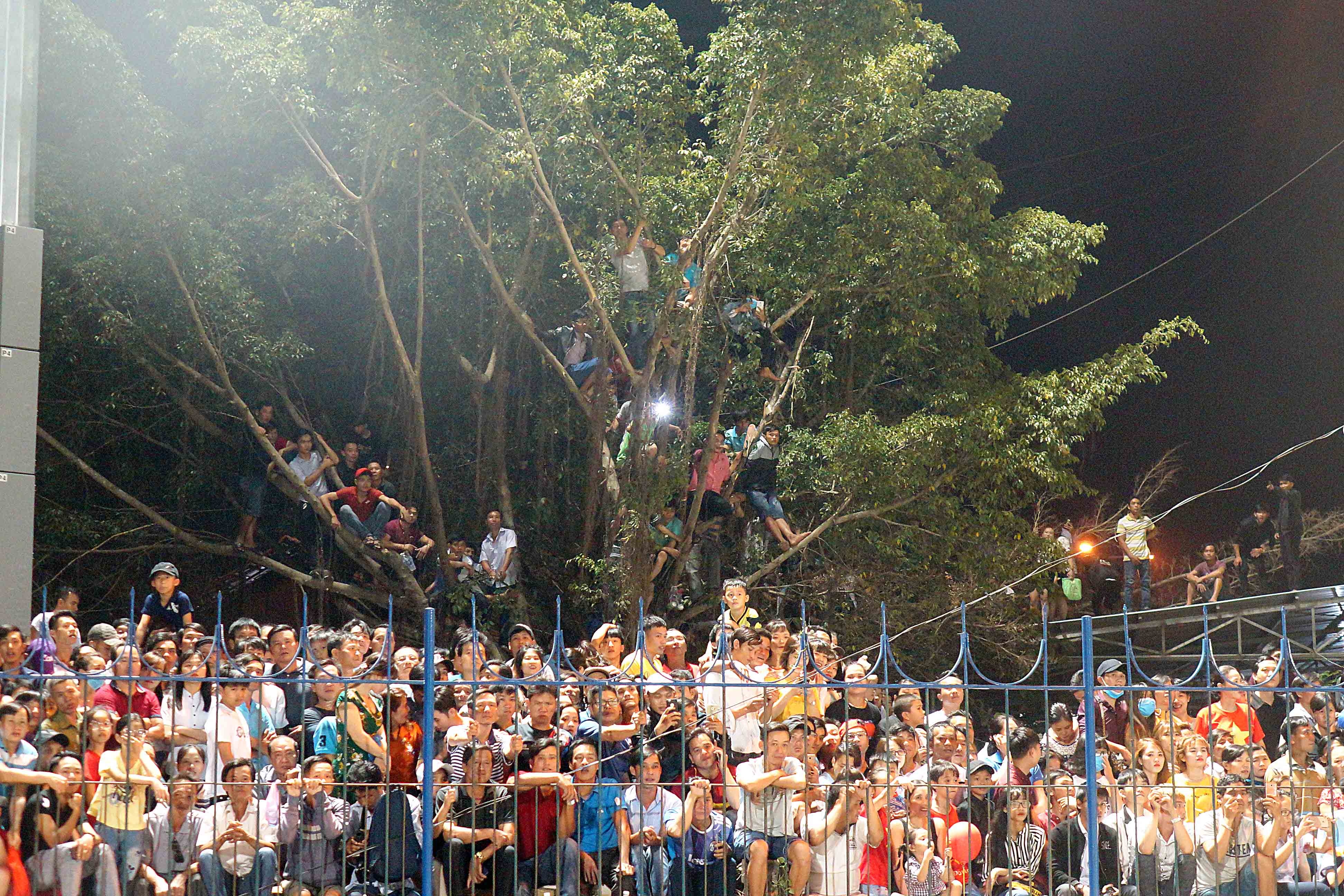 Fan ham mo CLB HAGL anh 3