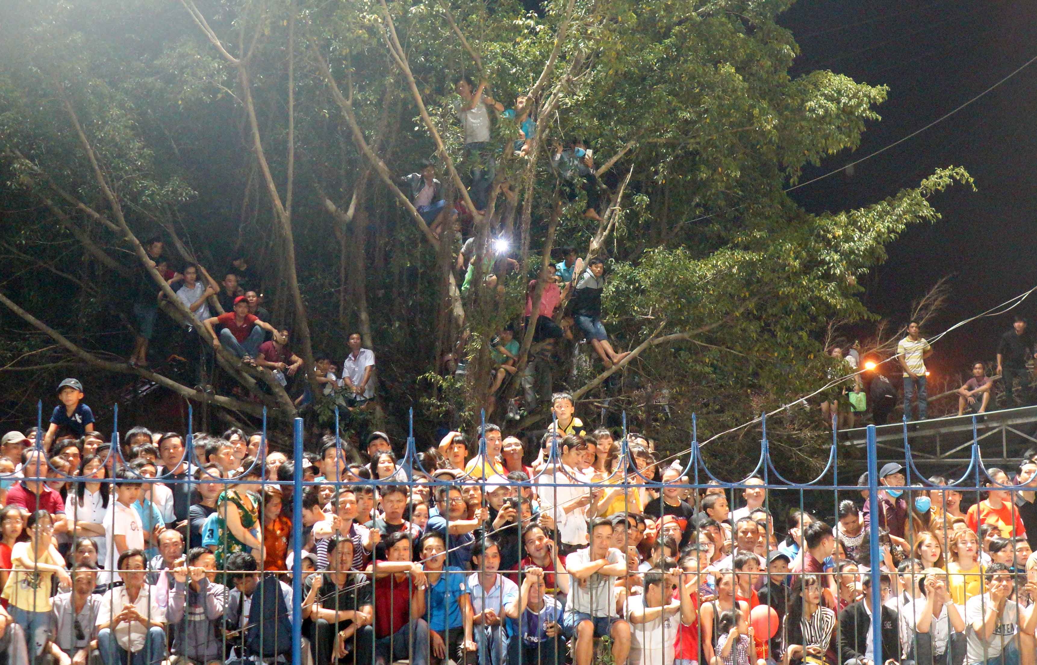 Fan Binh Phuoc ngoi vat veo tren cay xem HAGL thi dau hinh anh