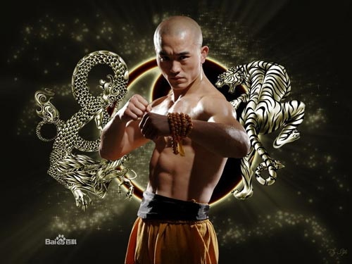 Vo thuat cua 'De nhat Thieu Lam' Nhat Long gioi co nao? hinh anh