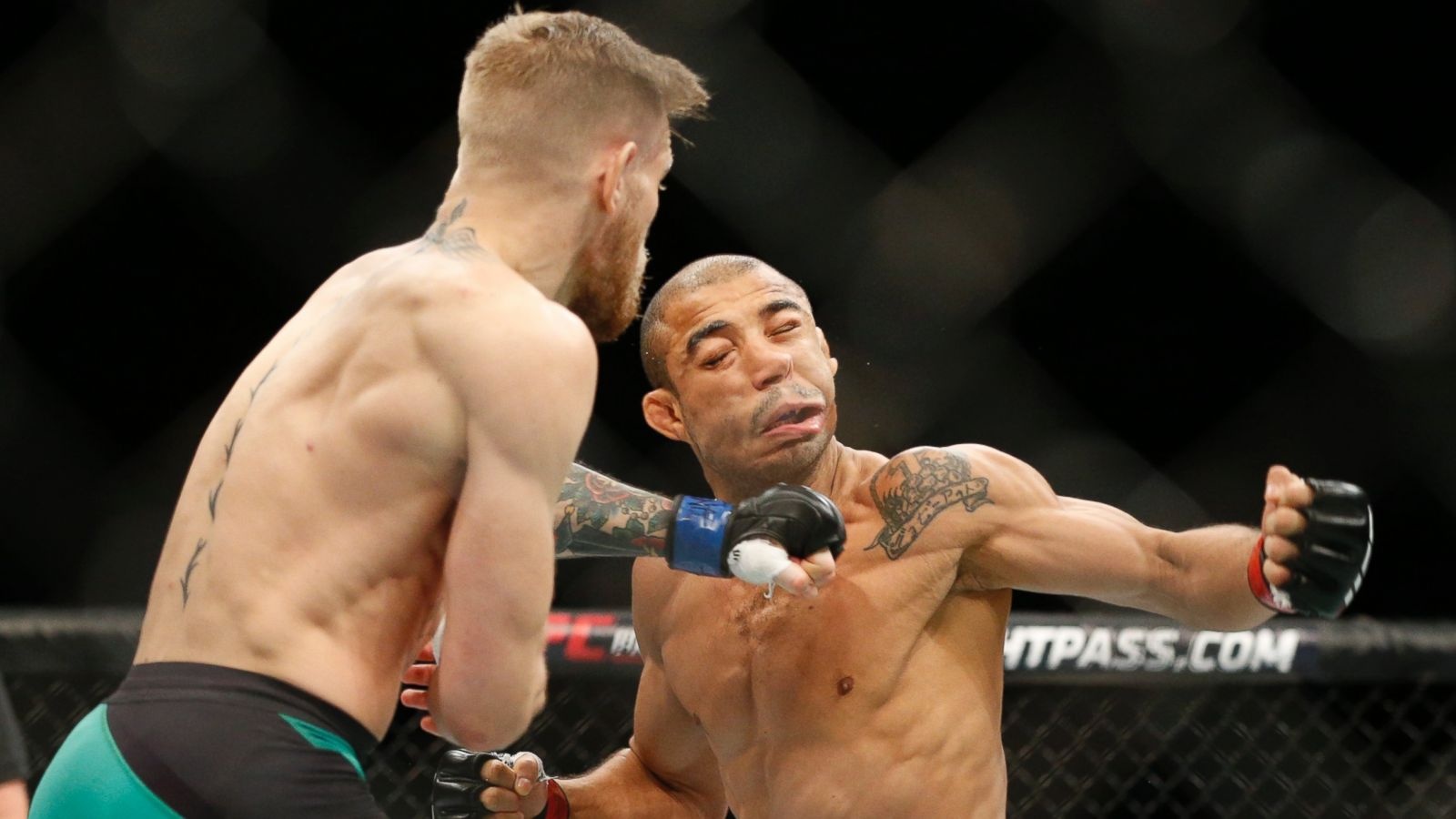 Thông tin nóng trước trận Mayweather và McGregor ảnh 2 Thong tin nong truoc tran Mayweather va McGregor anh 2