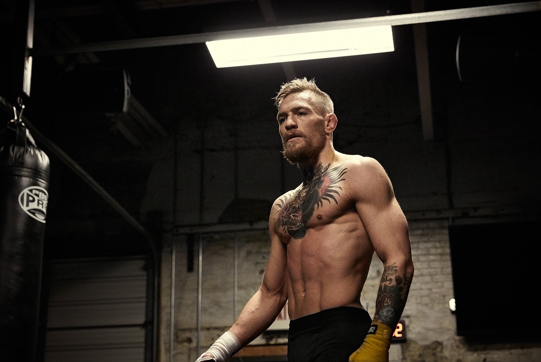 De ha Mayweather, McGregor tim den nha cuu vo dich the gioi hinh anh