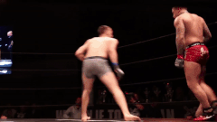 Su kien MMA tai Serbia: Au da sau cu da gay tranh cai hinh anh