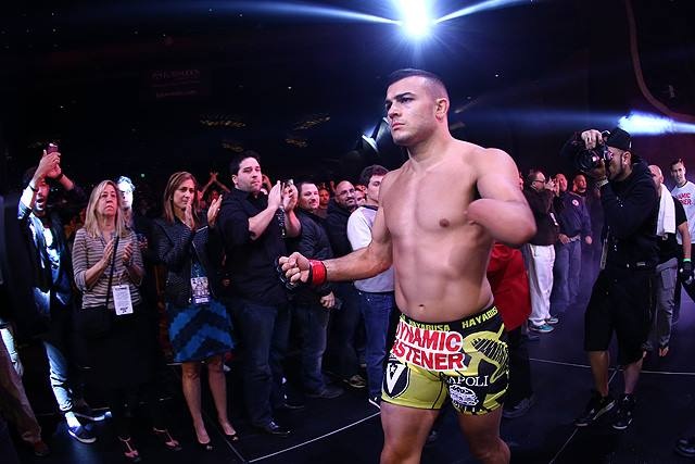 10 hinh anh dep nhat MMA anh 5