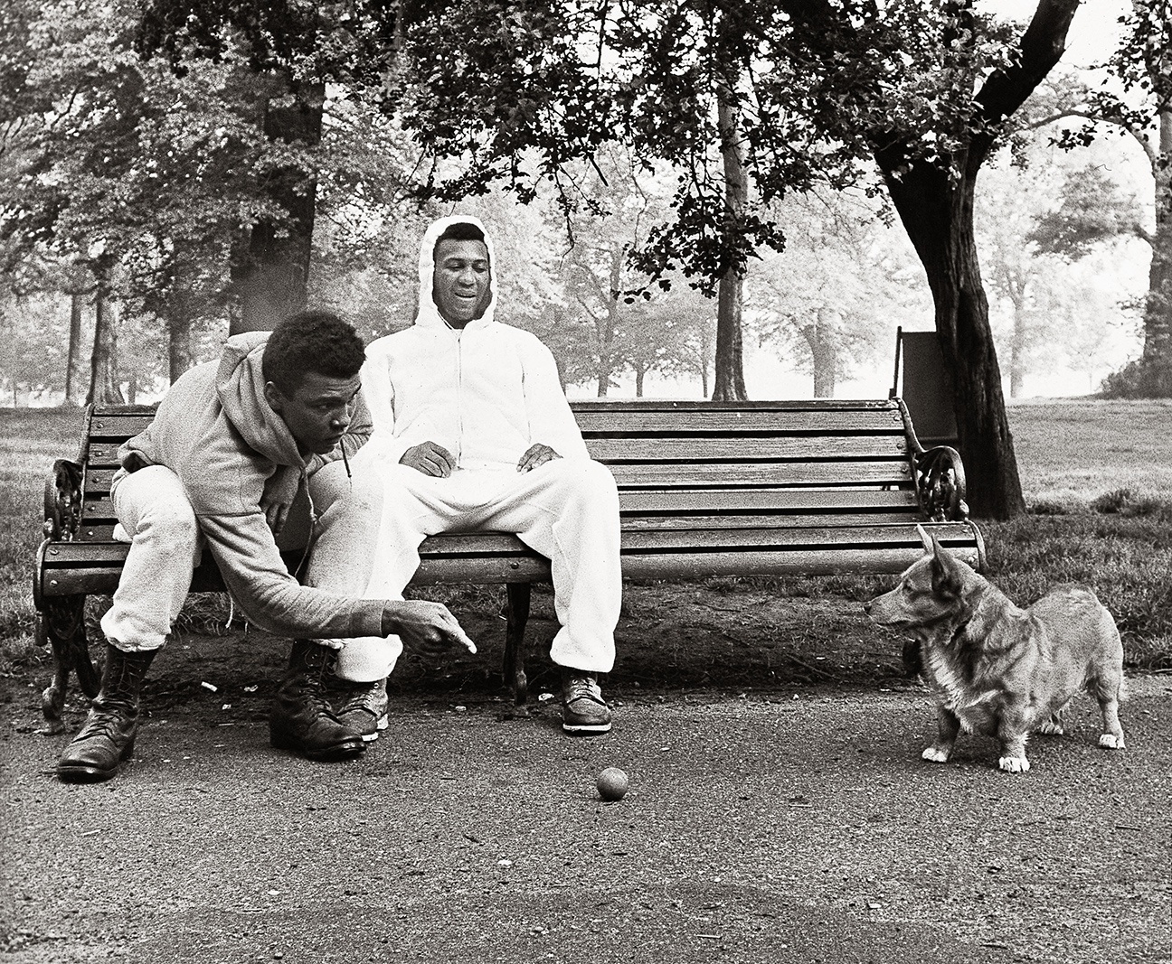 Nhung buc anh hiem ve cuoc doi huyen Ali anh 5