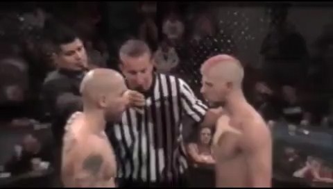 Vo si bi danh guc vi hon gio doi thu hinh anh