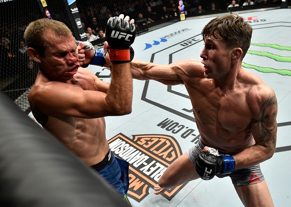 UFC FN 118: 'Cao boi' Cerrone bi dam vo mui, lo co hoi lap ky luc hinh anh
