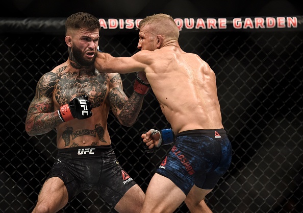 UFC 214: Ba nha vo dich mat dai,  ky luc moi duoc GSP thiet lap anh 7