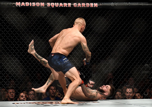 UFC 214: Ba nha vo dich mat dai,  ky luc moi duoc GSP thiet lap anh 9