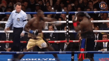Wilder 'huy diet' ke thach thuc, hen Joshua cho tran superfight hinh anh