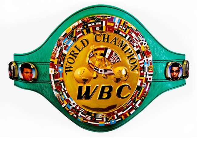 Việt Nam có tay đấm đầu tiên tranh đai vô địch WBC ảnh 3 Viet Nam co tay dam dau tien tranh dai vo dich WBC anh 3