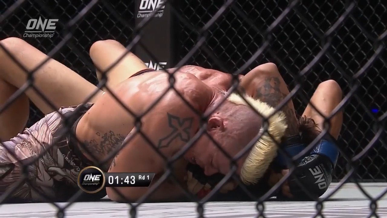 Don khoa co dep mat cua vo si Arnaud Lepont hinh anh