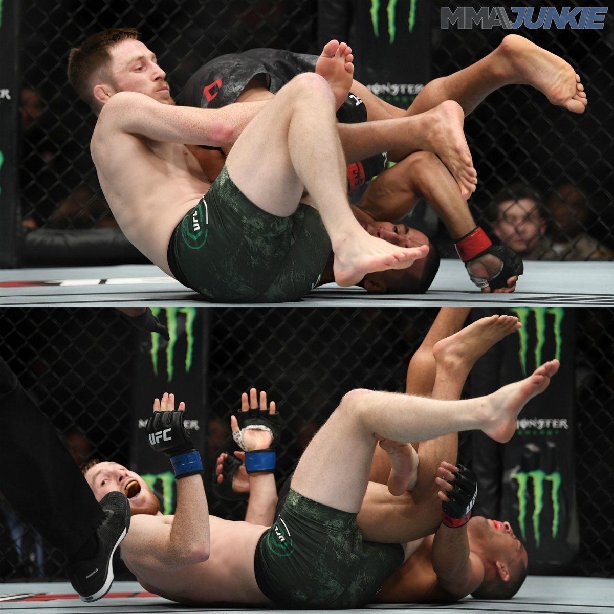 Don khoa hiem gap dem ve chien thang cho vo si xu Wales hinh anh