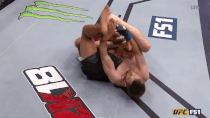 Vo si xu Wales chien thang bang don khoa lan thu 2 xuat hien tai UFC hinh anh