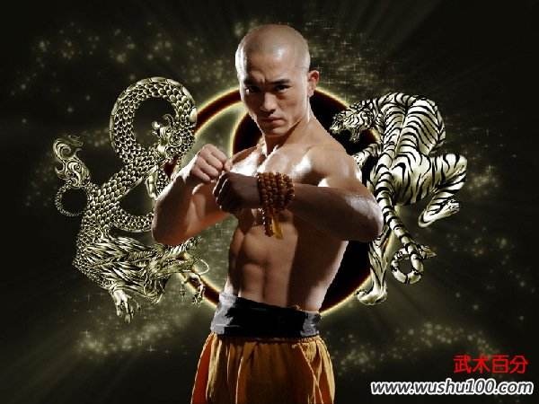 De nhat Thieu Lam va De nhat Thai Cuc: Vo cong ai gioi hon? hinh anh