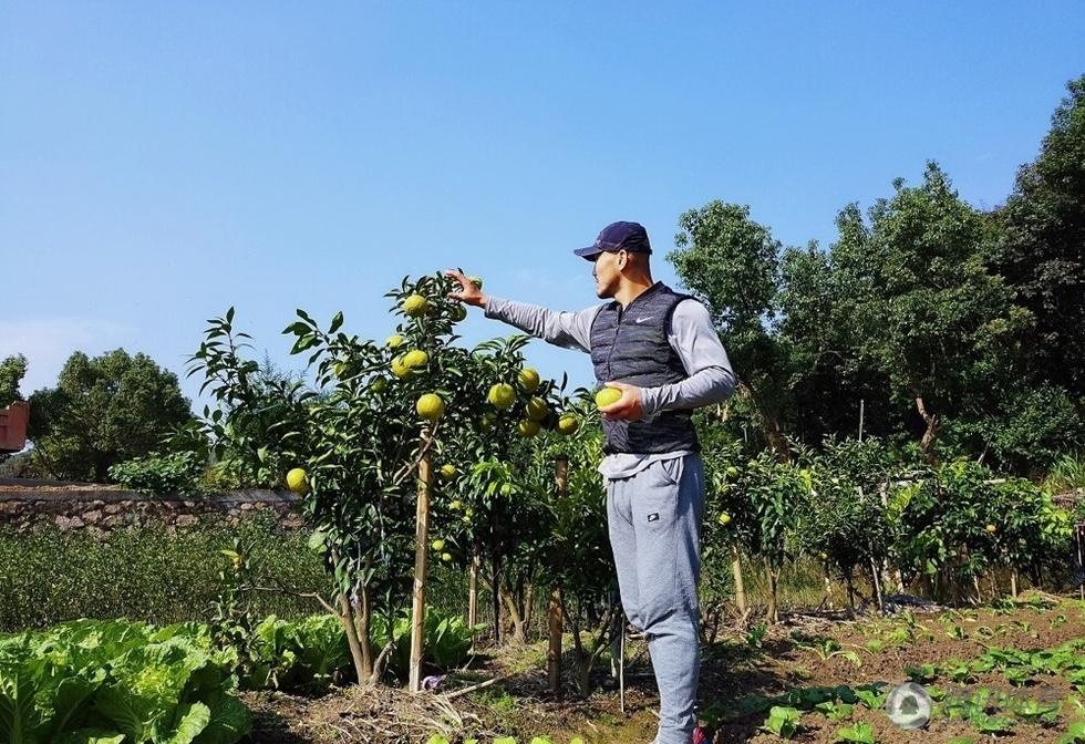 Giua on ao thi phi,  Nhat Long trong rau anh 2