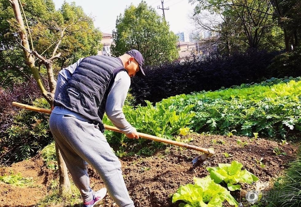 Giua on ao thi phi,  Nhat Long trong rau anh 3