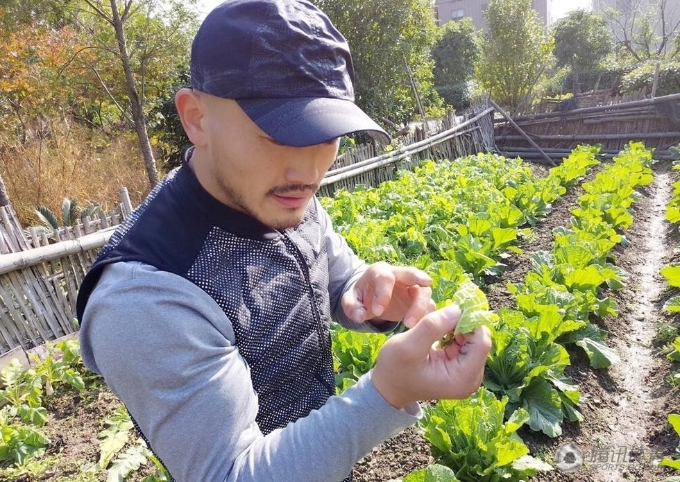 Giua on ao thi phi,  Nhat Long trong rau anh 4