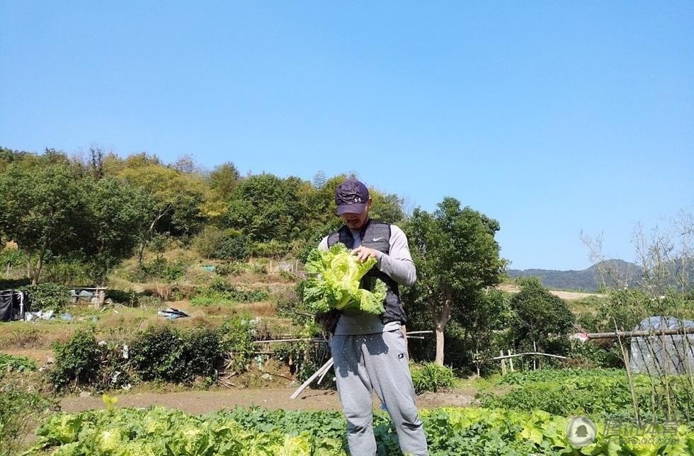 Giua on ao thi phi,  Nhat Long trong rau anh 5