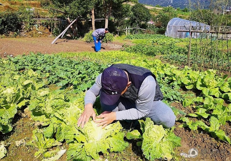 Giua on ao thi phi,  Nhat Long trong rau anh 7