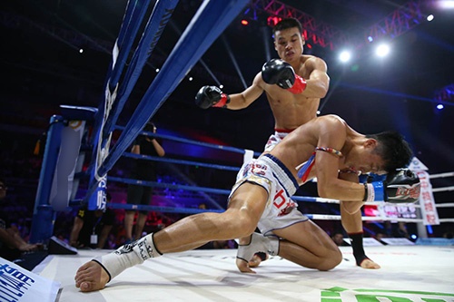 Vo si bi thua knock-out du co tinh choi xau hinh anh