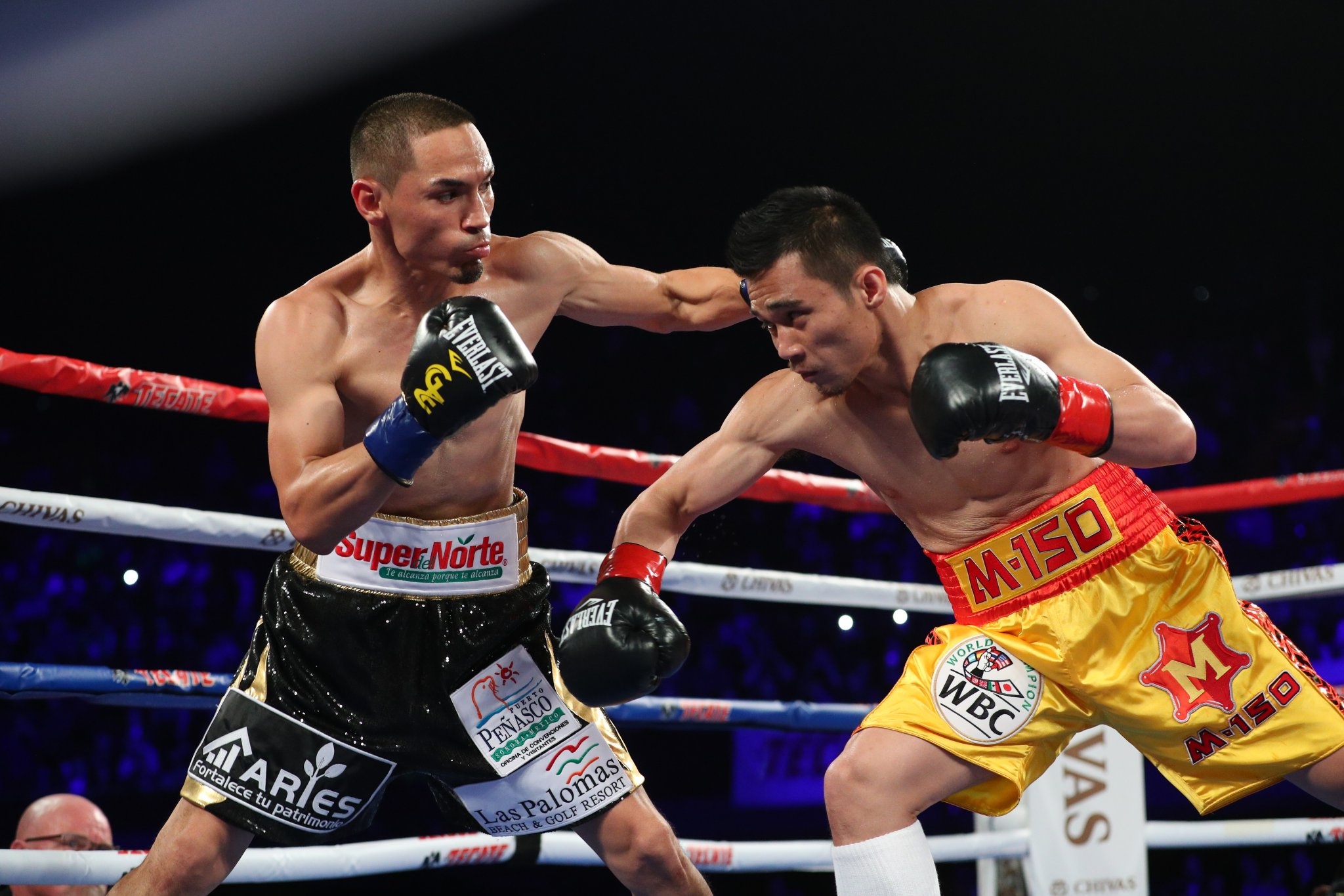 Vo si Thai Lan danh bai doi thu anh 3