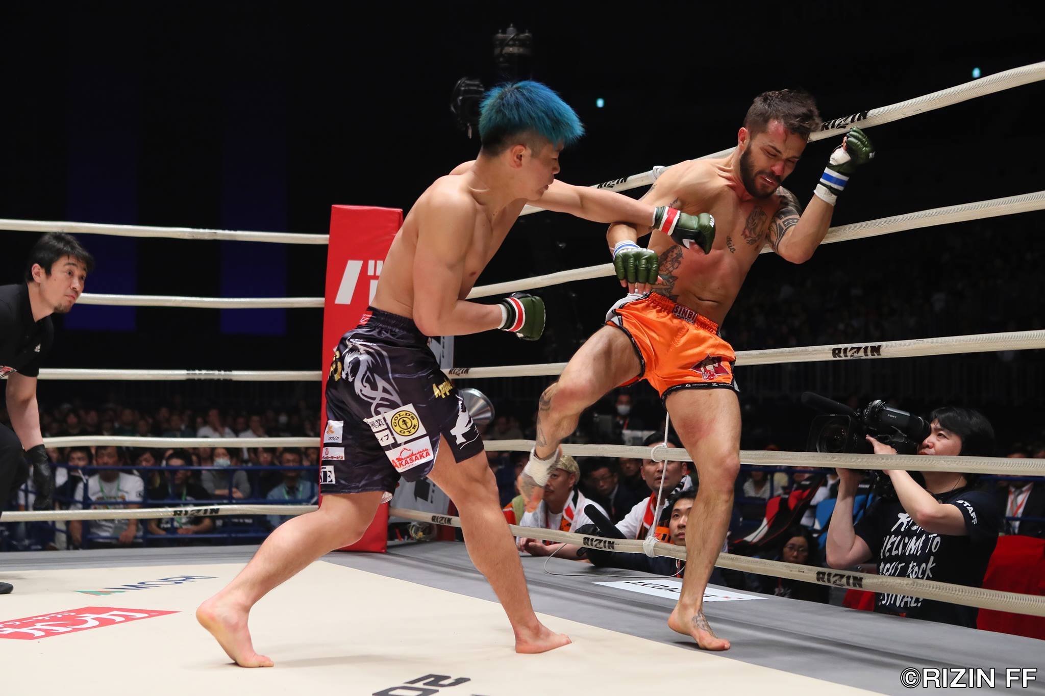 ‘Thần đồng võ thuật’ Nhật Bản tung đòn khó tin,  thắng trận thứ 30 ảnh 2 ‘Than dong vo thuat’ Nhat Ban tung don kho tin,  thang tran thu 30 anh 2