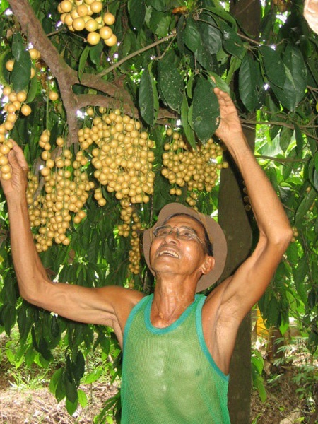 Muon kieu lam giau va choi ngong cua dai gia mien Tay hinh anh