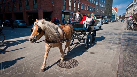 5 luat giao thong la doi hinh anh