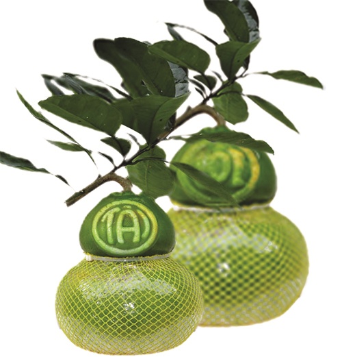 Hang 'doc' het thoi hinh anh