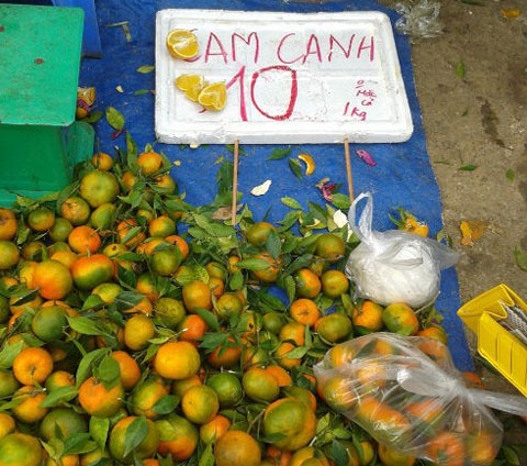 Cam Trung Quoc doi lot cam Vinh, cam Canh hinh anh