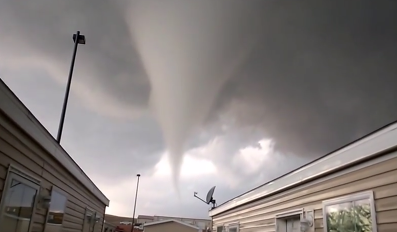 Canh voi rong an tuong quay bang Lumia 925 hinh anh