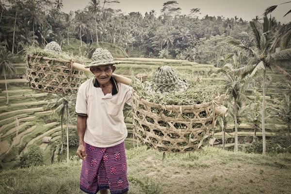 Chon vi tri chup anh chan dung dep hinh anh