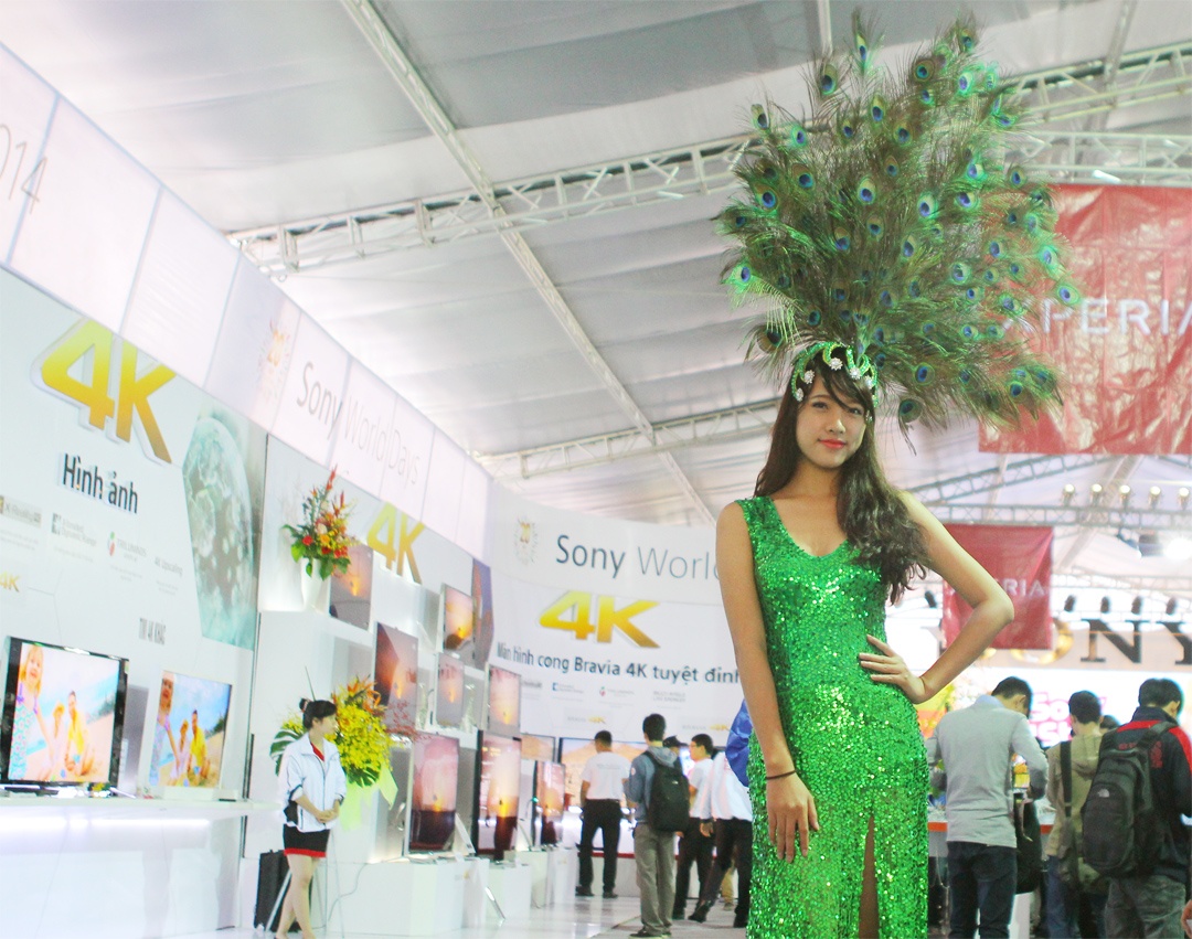 Toan canh trien lam Sony Show Ha Noi hinh anh