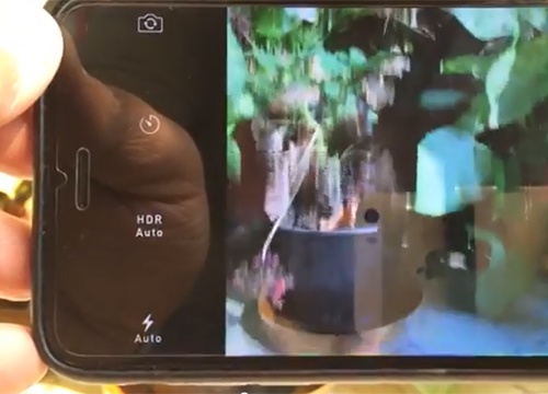 Camera tren iPhone 6 Plus bi rung bat thuong hinh anh