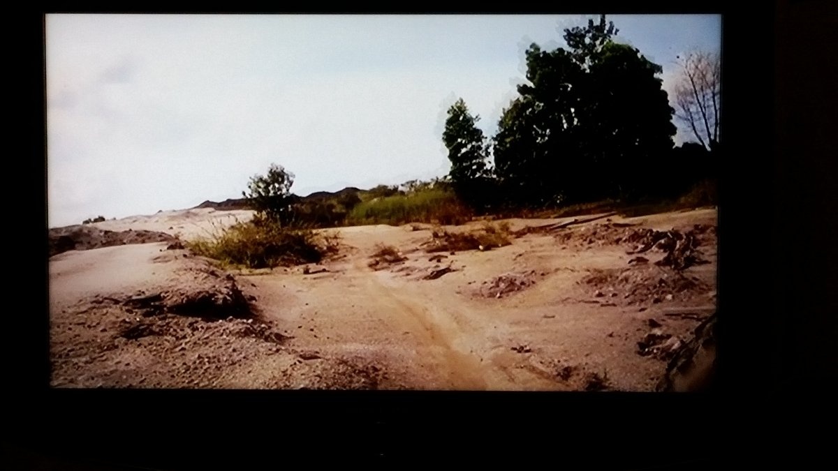 Việc khai thác thiếc trái phép đã biến một khu rừng nhiệt đới trở thành khu đồi trọc tại Indonesia.