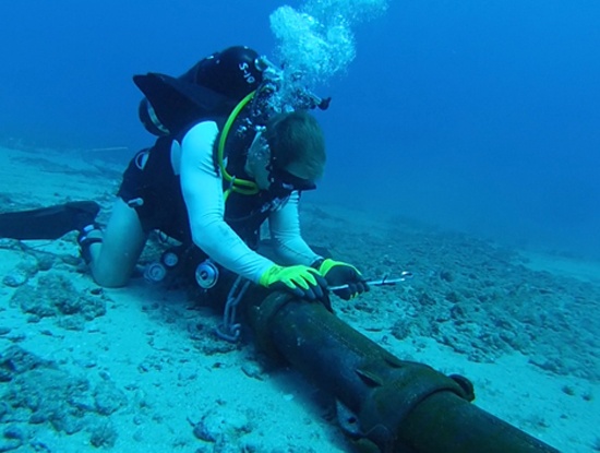 Cap quang bien AAG se sua xong ngay 23/1 hinh anh