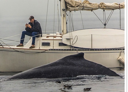 Bo lo khoanh khac cuoc doi vi mai me dien thoai hinh anh